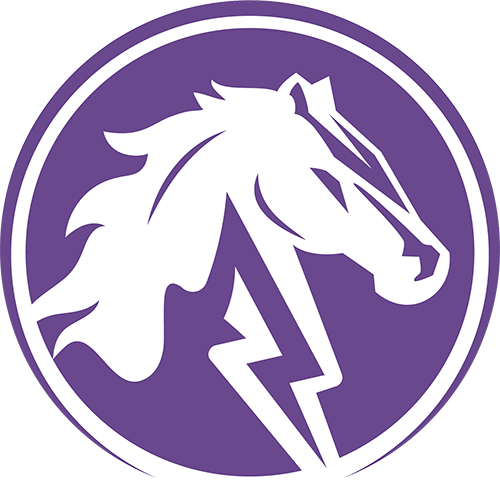 Pearl City Football Logo